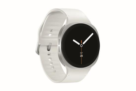 Galaxy Watch8 44mm Silber LTE - Zustand: Neugerät Galaxy Watch8 44mm Silber LTE - Zustand: Neugerät