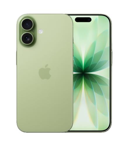 iPhone 17 256GB Salbei - Zustand: Sehr gut